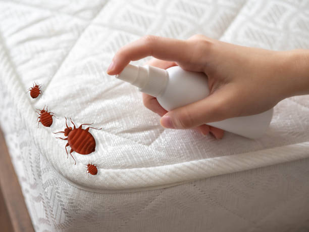 Best Cockroach Control Services  in Grand Haven, MI