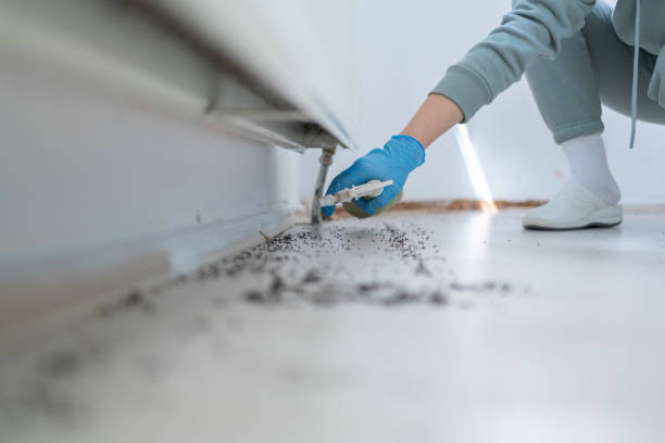 Pest Control Cost in Grand Haven, MI